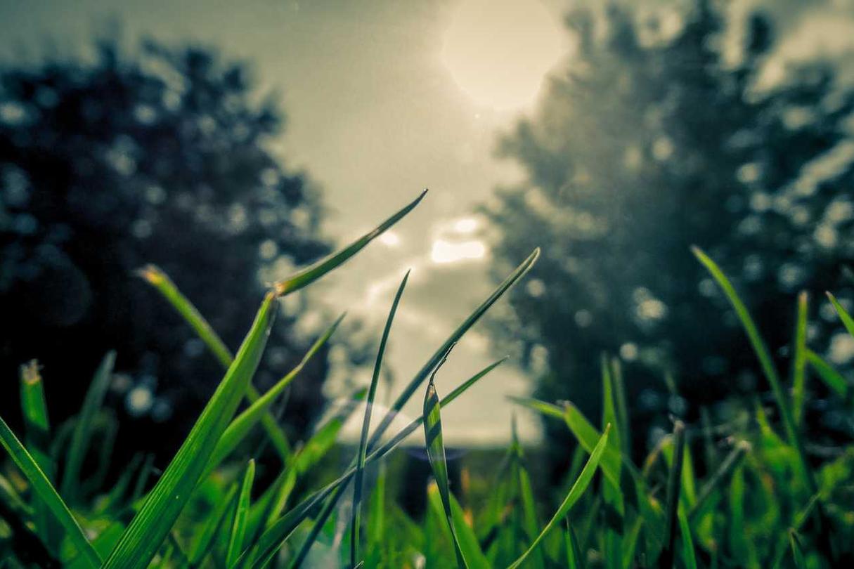 Aut cupiditate libero impedit accusantium laboriosam fugiat quae accusantium ducimus